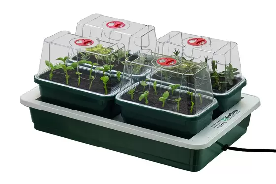 FAB 4 ELECTRIC PROPAGATOR