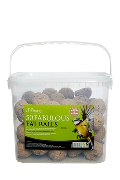 Fat Balls 50 Tub No Net
