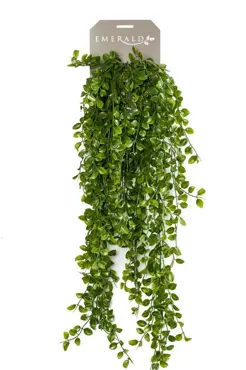 Ficus Pumila Hanging Bush Uv 80cm