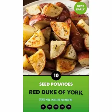 First Earliers Francis  2kg Nets