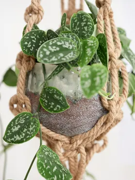 Flowerpot Hanger Macrame Brown D10 H140 - image 2