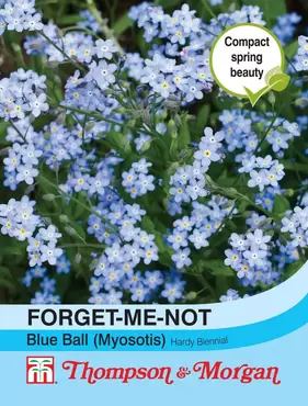Forget-me-not Blue Ball (Myosotis)