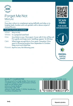 Forget Me Not Mixture - image 2