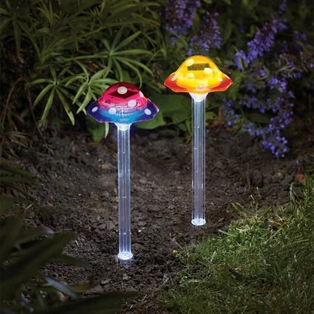 Funky Fungus - image 2