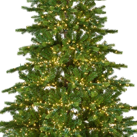 Galloway Spruce Prelit 210cm/7ft - image 3