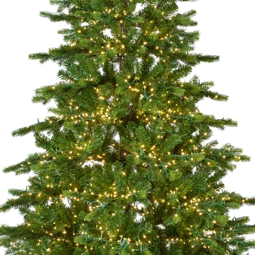 Galloway Spruce Prelit 7ft/210cm - image 3
