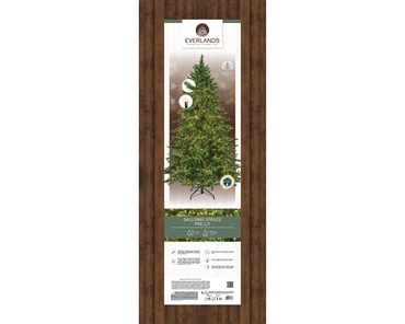Galloway Spruce Prelit 7ft/210cm - image 2