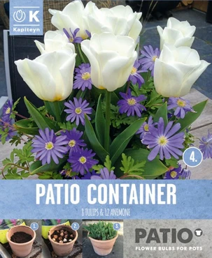 Garden Container Pack  Anemone Blue & Tulip White