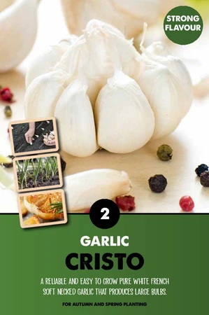 Garlic Cristo