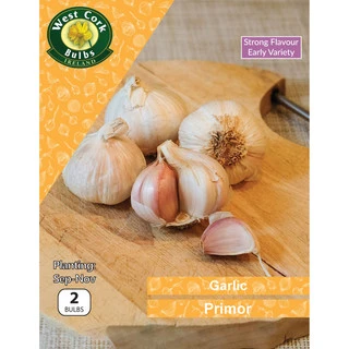 Garlic Primor 2 Bulbs