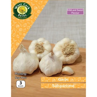Garlic Sabadrome 3 Bulbs