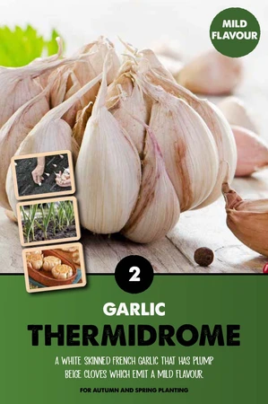 Garlic Thermidrome