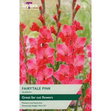 Gladioli Fairytale Pink