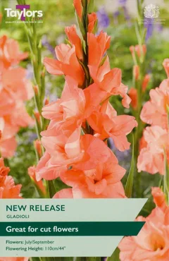 Gladioli New Release