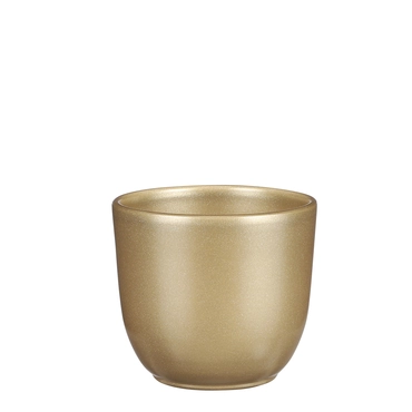 Gold Tusca Houseplant Pot