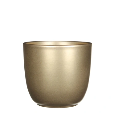Gold Tusca Houseplant Pot