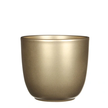 Gold Tusca Houseplant Pot