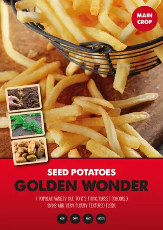 Golden Wonder Seed Potato