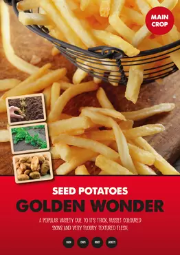 Golden Wonder Seed Potato