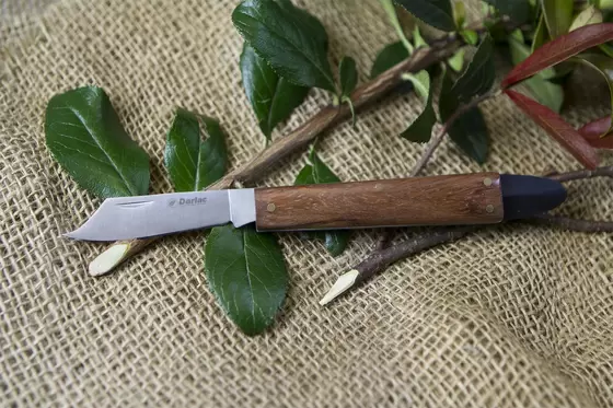 Grafting / Budding Knife - image 2