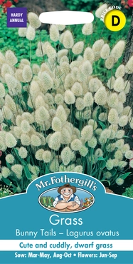 Grass Bunny Tails - Lagurus Ovatus - image 2