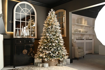 Grays Peak Pine Led Flocked Tree 8ft/240cm - image 2