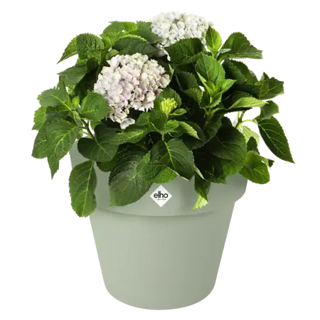 Green Basics Top Planter Stone Green 30cm - image 2