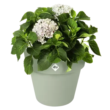 Green Basics Top Planter Stone Green 30cm - image 2