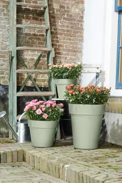 Green Basics Top Planter Stone Green 47cm - image 3