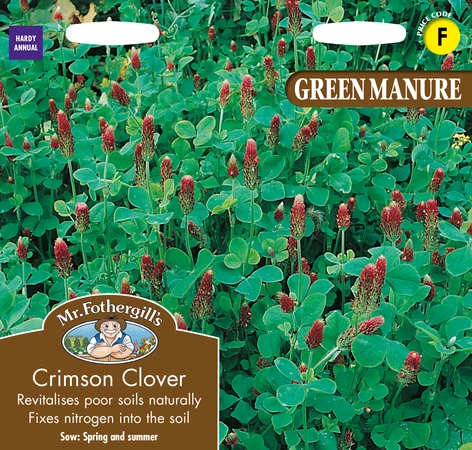 Green Manure Crimson Clover - image 1