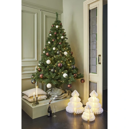 Greenwood Pine - image 2