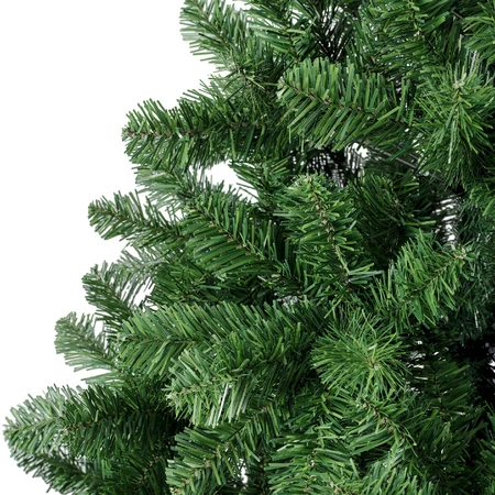 Greenwood Pine - image 6