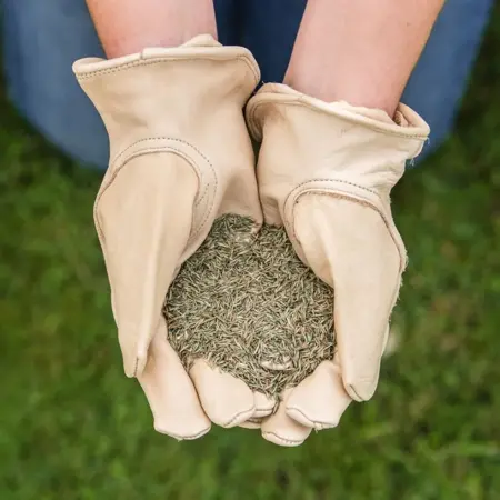 Gro-Sure Fine & Luxurious Lawn Seed 30 sq.m - image 3
