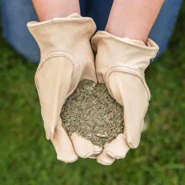 Gro-Sure Fine & Luxurious Lawn Seed 30 sq.m - image 3