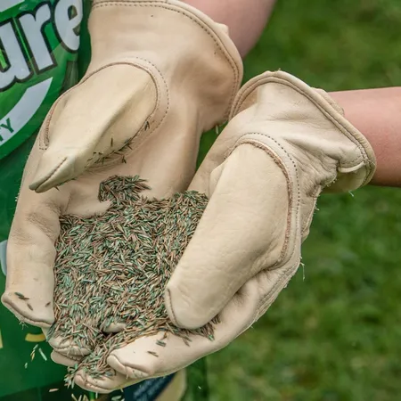 Gro-Sure Multi Purpose Lawn Seed 30M² + 20% EF - image 2