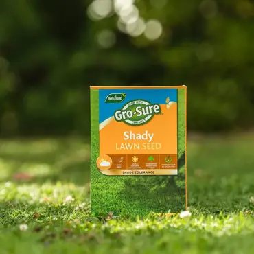 Gro-Sure Shady Lawn Seed Box - image 2