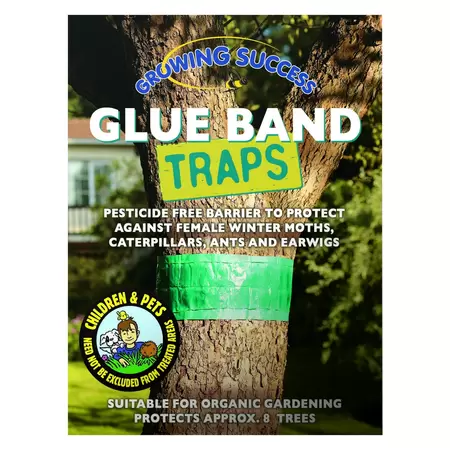 GS Glue Band Traps