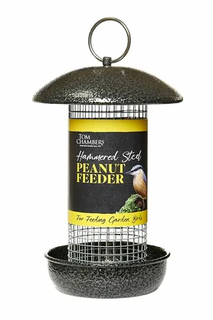 Hammered Steel Peanut Feeder