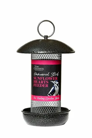 Hammered Steel Sunflower Hearts Feeder