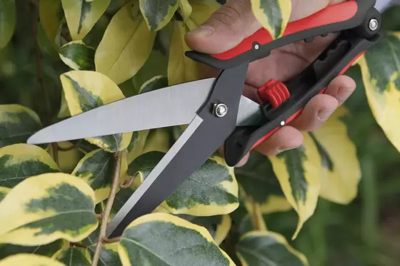 Hand Trimming Shear - image 2