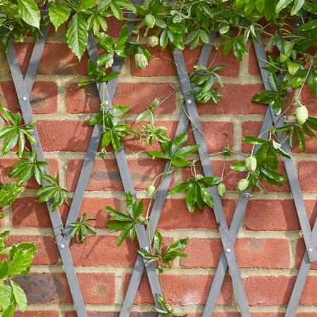 Heavy Duty Expanding Trellis - Slate 1.8 X 0.9m - image 2