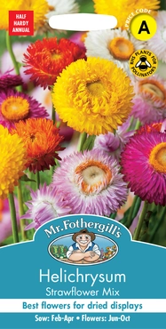 Helichrysum Strawflower Mix - image 1