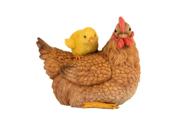 Hen & Chick