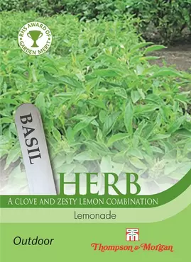 Herb Basil Lemonade