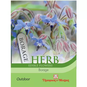 Herb Borage