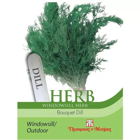 Herb Bouquet Dill