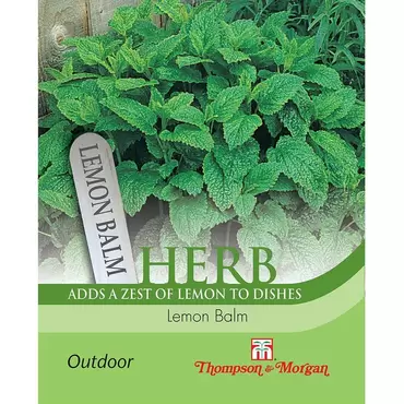 Herb Lemon Balm