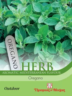 Herb Oregano