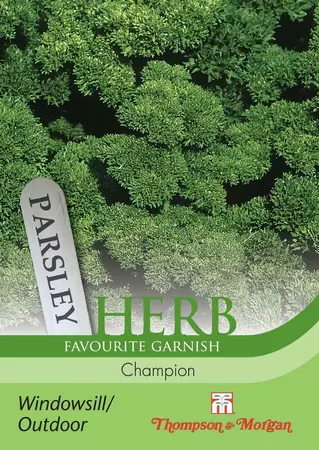 Herb Parsley Champion