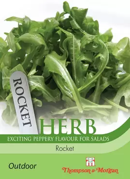 Herb Rocket